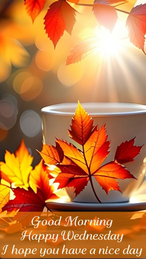 Fall Good Morning Coffee Images, Happy Wednesday Morning, Good Morning Happy Wednesday, Wednesday Morning Greetings, Happy Wednesday Images, Wednesday Greetings, Good Morning Dear, Latest Good Morning Images, Love And Hugs