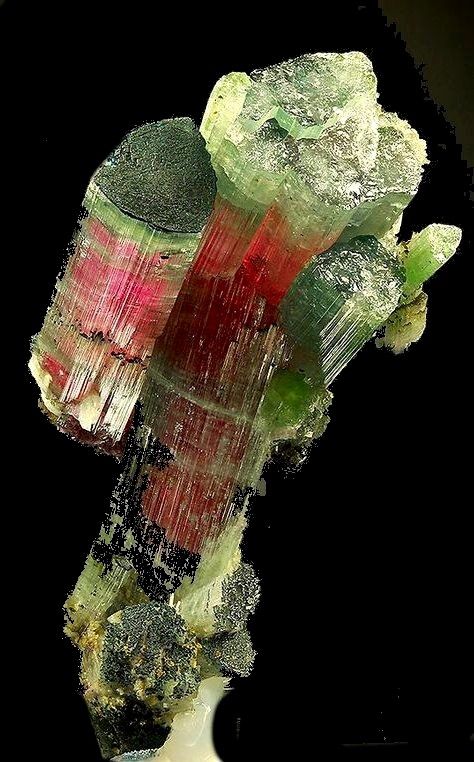 Rainbow Tourmaline, Crystal Seashells, Minerals Crystals Rocks, Rock Minerals, Pretty Rocks, Beautiful Stones, Cool Rocks, Beautiful Rocks, Mineral Stone