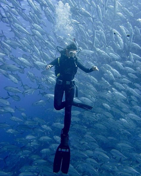 Ski Diving, Scuba Diving Pictures, Great Blue Hole, Scuba Diving Photography, Cave Diving, Scuba Girl, Marine Biology, Scuba Diver, Open Water