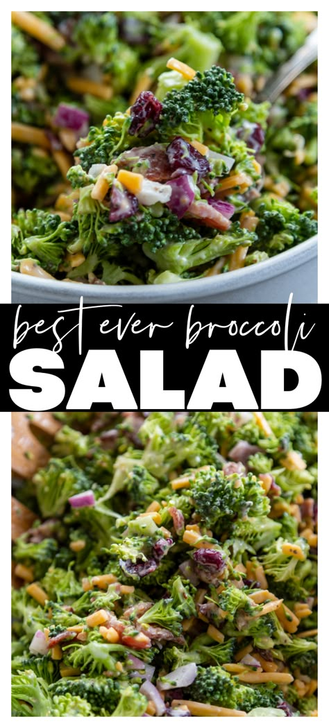 Cold Broccoli Salad Recipes, Broccoli Side Dish, Quick Healthy Lunch, Friends Recipes, Fresh Summer Salad, Yummy Salads, Broccoli Salad Recipe, Fresh Salad Recipes, Salad Meal Prep