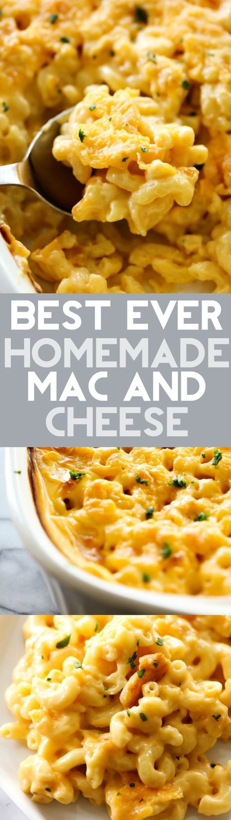 This Mac and Cheese is my mom's famous recipe. It is creamy, cheesy and completely addictive! It makes for a fabulous side dish whoever it goes and is extremely popular! There is never any left! Paula Deen, Best Ever Mac And Cheese, Pasta Primavera, Ground Mustard, Famous Recipe, Mac Cheese, Thanksgiving Sides, Macaroni Cheese, Cayenne Pepper