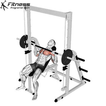 Workout Plan Builder Chest Workout Smith Machine, Smith Machine Bench Press, Smith Machine Chest Workout, Smith Machine Workout, Barbell Bench Press, Incline Bench Press, Incline Press, Dumbbell Back Workout, Gym Back Workout