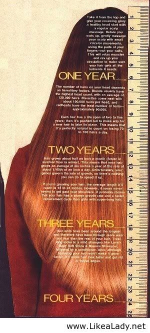 air growth timeline Hair Growth Charts, Hair Length Chart, 4c Natural, Hair Growth Tips, Growth Chart, Hair Skin Nails, Skin Nails, I Feel Pretty, Make Up Hair