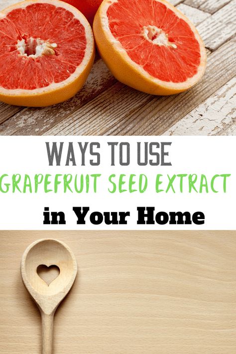 Ways to use grapefruit extract in your home. Grapefruit Peel Uses, Grapefruit Seed Extract Uses, How To Peel Grapefruit, Grapefruit Seed Extract Benefits, Ways To Use Grapefruit, Grapefruit Oil Blends, Best Money Making Apps, Fruit And Vegetable Wash, Natural Cleaning Solutions