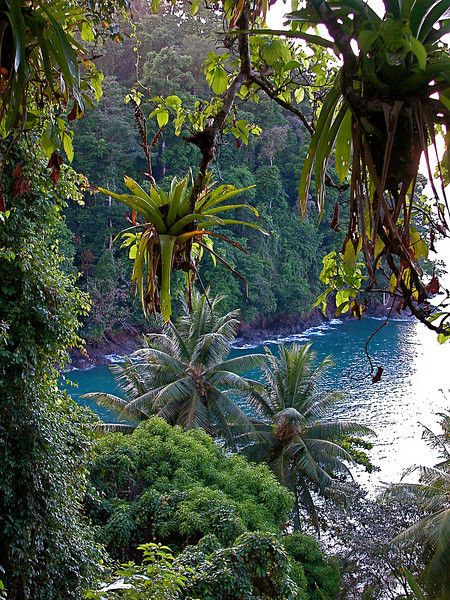 Hawaii Rainforest, Costa Rica Aesthetic, Rica Aesthetic, Yellow Convertible, Seaglass Beach, Beautiful Hawaii, Caribbean Beach, Pacific Islands, Bride Magazine