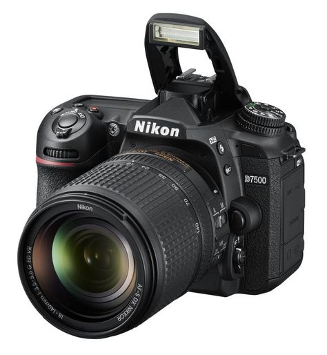 Nikon D7500 Best price Nikon D7500 #NIkonD7500 in Australia https://www.camerasdirect.com.au/nikon-d7500-camera-body Nikon D7500, Kamera Dslr, Nikon D600, Canon 700d, Dslr Video, Nikon D500, Canon Cameras, Nikon D7200, Nikon D5200