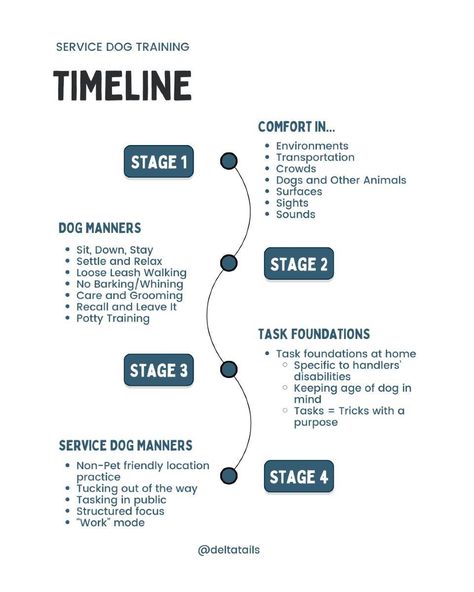 The most important stage of service dog training is the first... The dogs learn to be calm, confident, and resilient dogs, regardless of their jobs. They learn to be comfortable anywhere, to react to new things with curiosity or neutrality, and follow cues that keep them safe and respectable members of the community. This is the stage I see most folks rush through. Unfortunately, most regret that after a few months of struggling during adolescence and adulthood. ANY dog can benefit by wo... Loose Leash Walking, Service Dog Training, Dogs Training, Be Calm, Train Service, Dog Rooms, Service Dog, Dog Travel, Poodle Dog