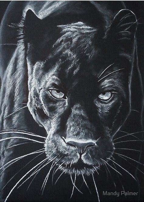 White charcoal drawing of a powerful “Black Panther” on black paper. • Millions of unique designs by independent artists. Find your thing. Monkey Charcoal Drawing, White Charcoal Drawing On Black Paper, White Sketch On Black Paper, White On Black Drawing, Drawings On Black Paper, White Charcoal On Black Paper, White Charcoal Drawing, Pencil On Black Paper, Soft Pastel Drawing