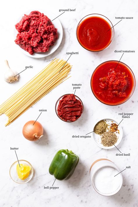 A homemade meat sauce with spaghetti is a delicious and cozy weeknight meal to prepare. While this sauce is not a traditional Italian recipe, it’s packed with flavor and is easy enough to make any night of the week or special enough for the weekend. Swirl a serving on a plate and watch the family come running to devour this sauce! | wyseguide.com #spaghetti #sauce #recipe #dinner #weeknight Essen, Italian Spaghetti Sauce, Spaghetti With Meat Sauce, Spaghetti With Meat, Spagetti Recipe, Homemade Meat Sauce, Sauce Spaghetti, Spaghetti Meat Sauce, Meat Sauce Recipes