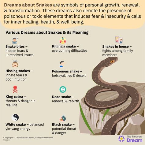 60 Types of Dreams about Snakes and Their Meanings Snake Meaning, Snake Symbolism, Facts About Dreams, Snake Painting, Types Of Dreams, Lower Back Pain Exercises, Magic Squares, Keep Dreaming, Dream Symbols