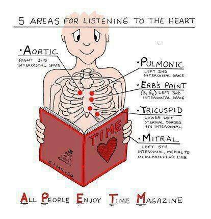 5 areas for listening to the heart APETM Nursing Fun, Nursing Information, Nursing Assessment, Heart Sounds, Nursing Mnemonics, Cardiac Nursing, Nursing School Survival, Pa School, Nursing Life