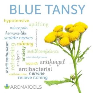 Essential Oils Properties, Blue Tansy Essential Oil, Doterra Oil, Essential Oils 101, Healing Essential Oils, Essential Oils Herbs, Essential Oil Diffuser Recipes, Oil Diffuser Recipes, Essential Oil Blends Recipes