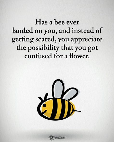 Power of Positivity on Instagram: “Type YES if you agree.  Has a bee ever landed on you, instead of getting scared, you appreciate the possibility that you got confused for a…” Bee Humor, Bee Happy Quotes, Nature Appreciation, Bee Utiful, Bee Quotes, Bloomington Indiana, Reading Music, Bee Inspired, Happy Hippie