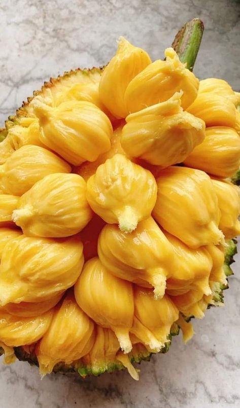 Jackfruit Tree, Fruits And Vegetables Pictures, Fruit World, Vegetable Pictures, Delivery Packaging, Fruit Wallpaper, Fruit Photography, Beautiful Fruits, Fruit Tree