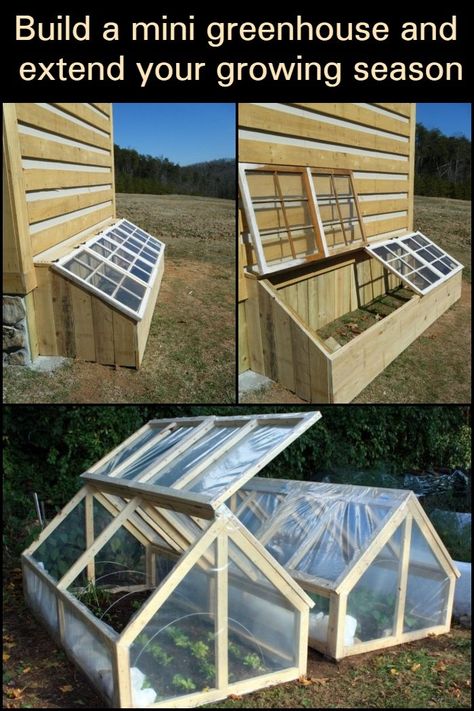 Serre Diy, Plantarea Legumelor, Diy Greenhouse Plans, Garden Pallet, Garden Vegetable, Backyard Greenhouse, Small Greenhouse, Greenhouse Plans, Veg Garden