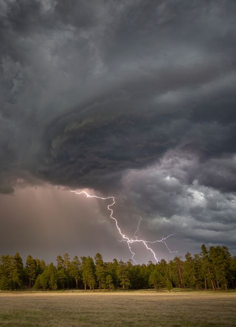 Nature, Storm Photography, Landscape References, Arizona Summer, Kunst Inspo, Lightning Photography, Weather Cloud, Storm Chasing, Riders On The Storm