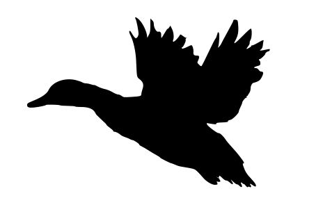 Flying Duck Silhouette   Clipart Panda   Free Clipart Images Duck Stencil, Duck Flying, Winged Stencil, Unicorn Stencil, Feather Stencil, Duck Silhouette, Flying Duck, Black Tees, Free Clipart Images