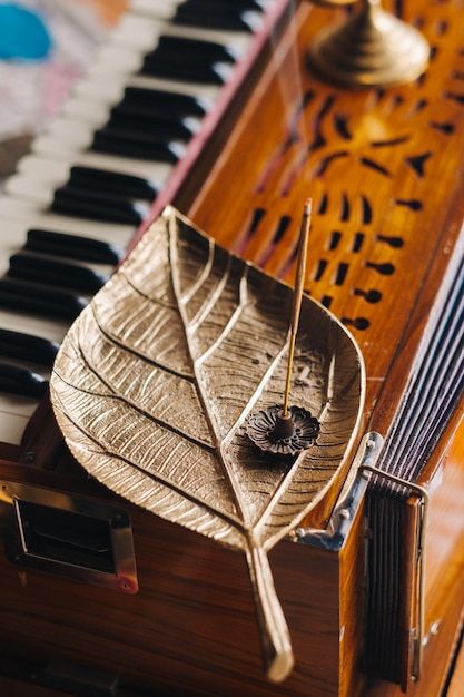 Photo harmonium during the practice of k... | Premium Photo #Freepik #photo #mantra #harmonium #mindfulness #indian-music Harmonium Aesthetic, Aesthetic Snap, Indian Yoga, Green Background Video, Indian Music, Kundalini Yoga, Snapchat Stories, Pretty Lyrics, Green Background