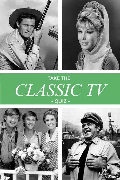 Old Tv Shows 1960s Tv Series, That 70s Show Characters, Tv Show Quizzes, 1960s Television, Friends Trivia, 60s Tv Shows, Best Buzzfeed Quizzes, Tv Quiz, Tv Trivia