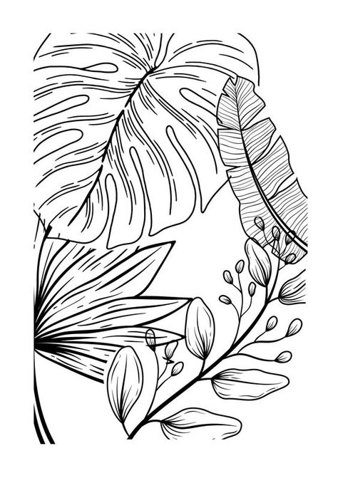 Crazy plant lady/ adult coloring book / plant coloring book/ plant drawing/ digital download Coloring pages for kids #coloringpagesforkids Coloring page for kids #coloringpageforkids Kids coloring page #kidscoloringpage 2.685 Plant Colouring Pages, Natural Design Drawing, Nature Colouring Pages, Fine Line Art Drawings, Coloring Pages Plants, How To Do Drawing, Plant Coloring Pages, Plants Drawings, Mandala Colouring Pages