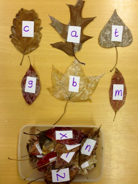 We're going on a leaf hunt! We hid leaves with different letters on around the classroom and asked children what letter they found and where they found it (using positional language). EYFS / pre-school letter recognition, segmenting sounds, spelling words and fun phonics autumn game. Autumn Writing Eyfs, Autumn Phonics Activities, Leaf Games, Reception Phonics, Eyfs Phonics, Eyfs Literacy, Leaf Hunt, Autumn Eyfs, Positional Language