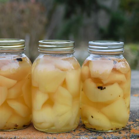 Pickled Pear Recipe - Brogdale Collections Can Apples, Can Pears, Pickled Pears, Pear Recipe, High Acid Foods, Canning Apples, Pickle Recipes, Canning Fruit, Canned Apples