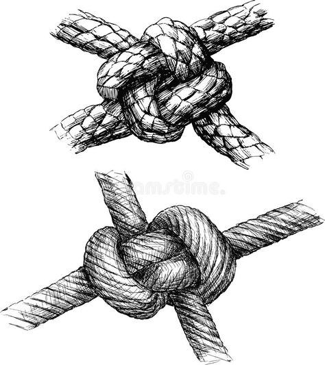 Knot stock vector. Illustration of ... Rope Knot Drawing, Knot Reference, Macrame Logo, Knot Illustration, Knot Drawing, Rope Drawing, Micron Pen Art, Women Sailing, Strong Knots