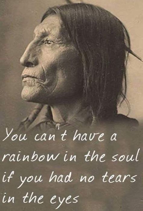 Indian Proverbs Wisdom, Walk Two Moons, Native American Quotes Wisdom, Native American Proverbs, Native Quotes, American Indian Quotes, Indian Proverbs, American Proverbs, Native American Prayers