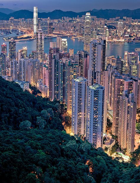 Hong Kong Lights At Night, City Lights At Night, Places Around The World, Asia Travel, Metropolis, City Lights, Aerial View, Travel Around The World, Wonderful Places