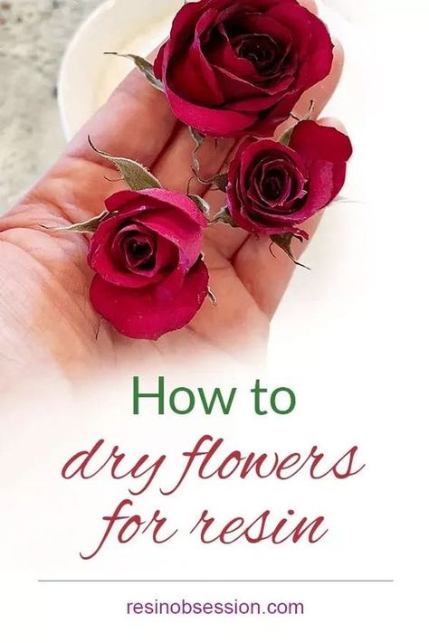 Learn easy way how to dry flowers for your next resin project. Simple steps plus the pro tips to having beautiful flowers for epoxy. Dried Flowers Epoxy, How To Dry Roses Diy, Best Way To Preserve Flowers, How To Dry Flowers For Resin, Epoxy Resin Flowers, Dry Flowers For Resin, How To Dry Flowers, How To Make Resin, Drying Roses