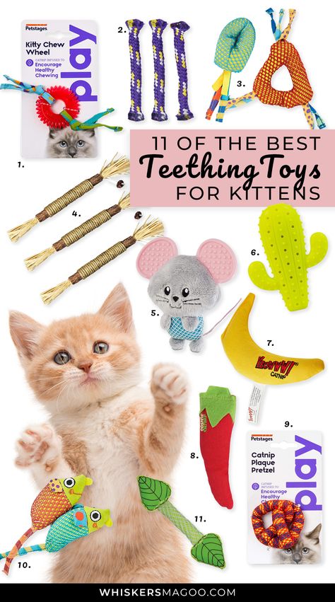 11 Best Teething Toys for Kittens - From catnip-infused chew toys, rubber rings, silvervine chew sticks, and more check out our top picks for the best teething toys for kittens right here! #kittens #teethingtoys Diy Cat Chew Toys, Homemade Kitten Toys, Best Teething Toys, Best Cat Toys, Cats Toys, Cat Entertainment, Diy Cat Toys, Cat Things, Toys Uk