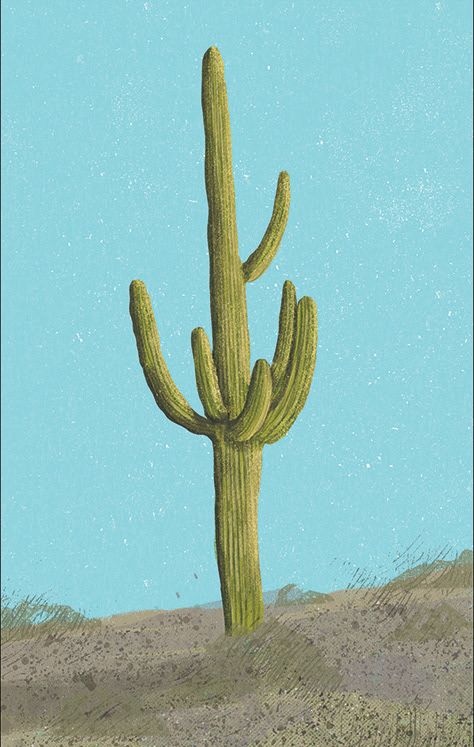 Lucia Calfapietra cactus illustration -Carnegiea gigantea Vintage Cactus Illustration, Lucia Calfapietra, Terry Urban, Geometric Animal Head, Surf Vintage, Vintage Cactus, Handmade Ceramic Planters, Cactus Illustration, Cactus Painting