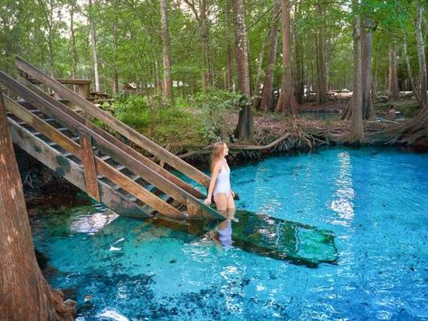 Natural Springs In Florida, Ginnie Springs, Florida Vacation Spots, Ocala National Forest, Florida Travel Destinations, Florida Camping, Natural Objects, Florida Springs, Places In Florida