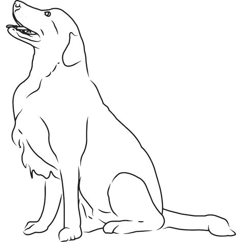 Golden Retriever Sketch, Golden Retriever Outline, Retriever Drawing, Golden Retriever Illustration, Golden Retriever Drawing, Dog Face Drawing, Salty Dog, Hand Sketch, Popular Dog