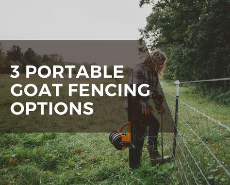 Three portable goat fencing options - Grazing with Leslie Moveable Goat Fence, Portable Goat Pen, Goat Fencing, Homesteading Hacks, Goat Fence, Plastic Fencing, Fencing Options, Goat Pen, Portable Fence