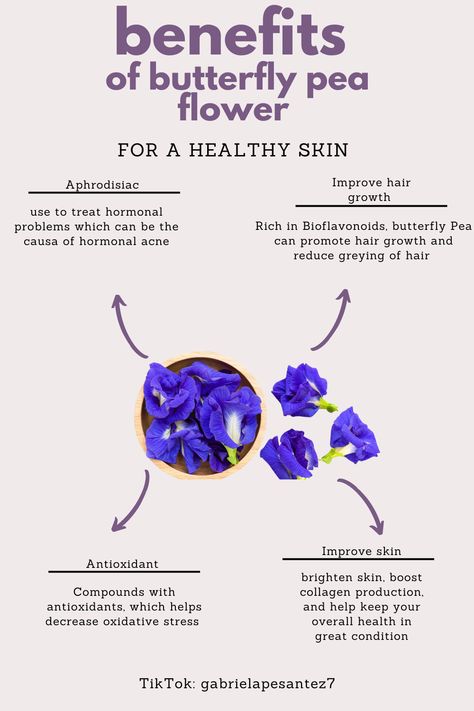 Butterfly pea flower can be consume as tea, lattes, or as a face mask✨ Butterfly Sweet Pea Tea Benefits, Butterfly Pea Flower Tea Benefits, Herbal Flowers, Hormone Healing, Pea Flower Tea, Tea Lattes, Butterfly Pea Tea, Butterfly Pea Flower Tea, Desert Ideas