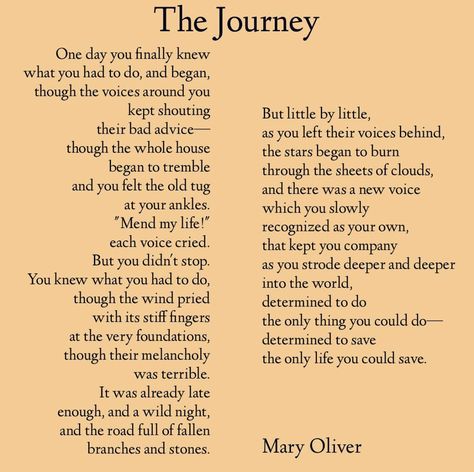 The Journey Mary Oliver Heavy Mary Oliver, Mary Oliver The Journey, The Journey Mary Oliver, Mary Oliver Tattoo, Yoga Readings, Journey Tattoo, Mary Oliver Quotes, Mary Oliver Poems, Yoga Reading