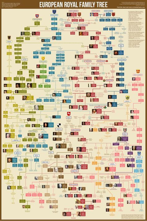 European Royal Family Tree, Royal Family Tree, British Royal Family Tree, Family Tree Poster, Royal Family Trees, Family Tree Chart, College Board, Family Trees, English History