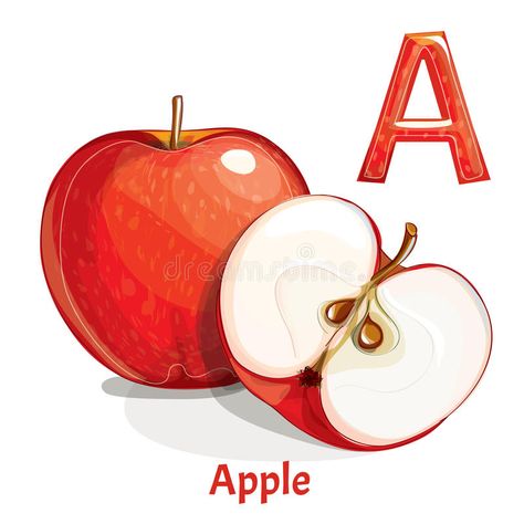 Vector Alphabet Letter A. Apple Stock Vector - Illustration of apple, vector: 99042298 Apple Stock, Kids English, Learn To Read, Kids Education, Lettering Alphabet, Stock Illustration, Stock Vector, Vector Illustration, Alphabet