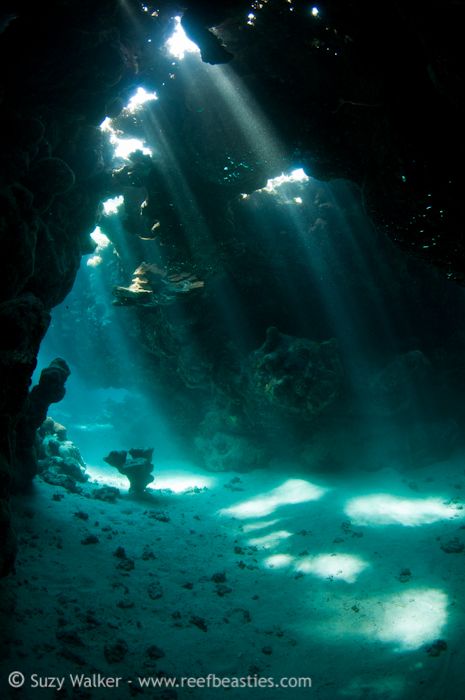 Underwater Photography, Underwater Caves, Bike Travel, Sea Cave, Výtvarné Reference, Theme Nature, Tumblr Wallpaper, Alam Semula Jadi, Underwater World