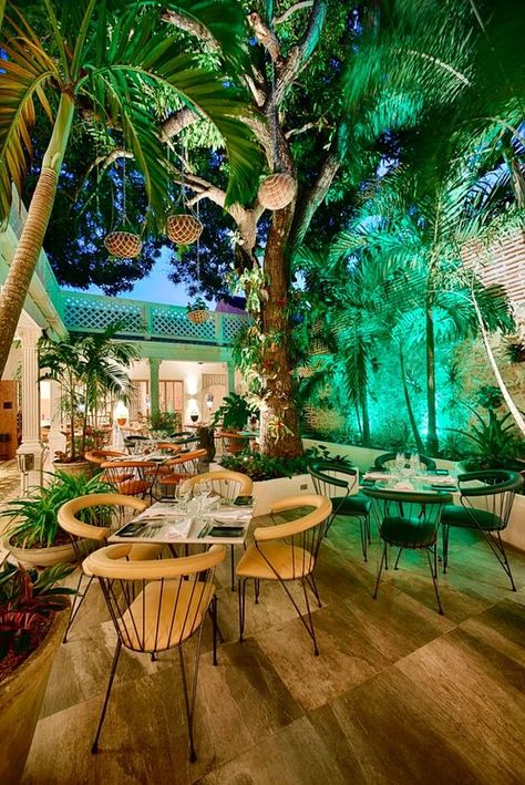 Carmen Restaurant Cartagena - Restaurant Reviews, Photos & Phone Number - TripAdvisor Colombian Restaurant Design, Garden Restaurant Design, Lounge Inspiration, Outdoor Restaurant Design, Tiki Bar Decor, Garden Restaurant, Restaurant Patio, Tiki Lounge, Decoration Restaurant