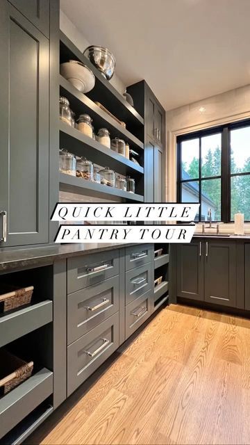 Melissa Manzardo Hryszko on Instagram: "Quick little pantry tour. When designing our home, I wanted a pantry with a lot of natural light and a second sink and dishwasher. When entertaining, this space comes in so handy as the dumping ground for all of the dishes and serving platters to keep our kitchens nice and tidy. Coming soon some mind-blowing pantry’s in our upcoming projects. Stay tuned for those!! #pantry #pantryorganization #pantrygoals #pantrydesign #kitchendesign #kitchen #kitch Butlers Pantry With Sink And Fridge, Butlers Pantry With Appliances, Pantry Butler Pantry, Butlers Pantry With Refrigerator, Butlers Pantry Behind Kitchen Wall, Butlers Pantry Cabinet Ideas, Butler Pantry With Sink, Open Butlers Pantry, Sink In Pantry