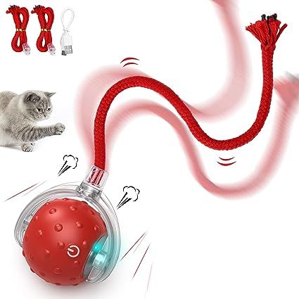 Bird Calls, Cat Ball, Kitten Toys, Interactive Cat Toys, Marble Wood, Catnip Toys, Cat Health, Pet Training, Cat Pet Supplies