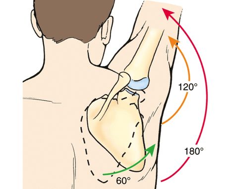 Shoulder Impingement Rehab Guide - Precision Movement Physical Therapy Student, Shoulder Impingement, Shoulder Workout, Physical Therapy, Back Pain, Massage, Health