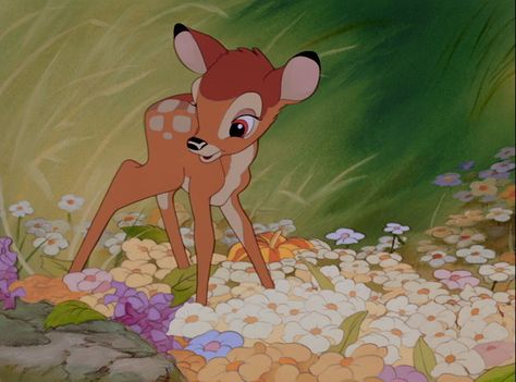 It's not just about enchanted roses. Bambi 1942, Old Disney Movies, Bambi Disney, Magnolia Park, Disney Icons, Images Disney, Disney Animals, Old Disney, Pinturas Disney