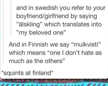 Swedish vs Finnish term of endearment “squints at Finland” Endearments In Different Languages, Swedish Humor, Laughing Funny, Swedish Language, Ironic Memes, Together Quotes, Terms Of Endearment, Language Study, Foreign Languages