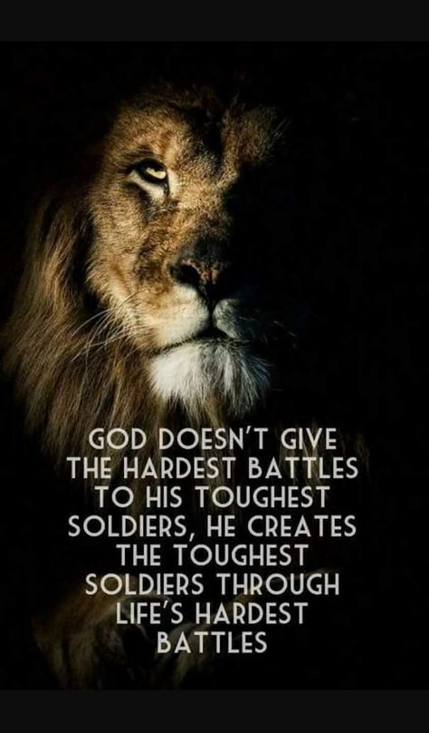 God doesn't give his hardest battles to his toughest soldiers, he creates the toughest soldiers through life's hardest battles. Lion Quotes, Ayat Alkitab, Warrior Quotes, A Lion, Inspirational Quotes Motivation, Faith Quotes, Great Quotes, Spiritual Quotes, Wisdom Quotes