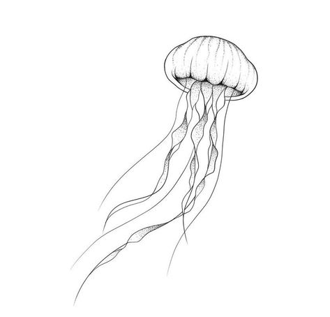 Tattoo Jellyfish Minimalist, Fine Line Jellyfish Tattoo, Line Art Jellyfish, Simple Jellyfish Drawing, Jellyfish Drawing Simple, Jellyfish Line Art, Jellyfish Tattoo Minimalist, Simple Jellyfish Tattoo, Jellyfish Outline