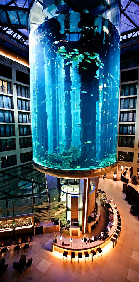 The AquaDom at the Radisson Blue in Berlin, Germany. Amazing Aquariums, Europa Park, Radisson Hotel, Radisson Blu, Restaurant Ideas, Design Exterior, Komodo, Sea View, Berlin Germany