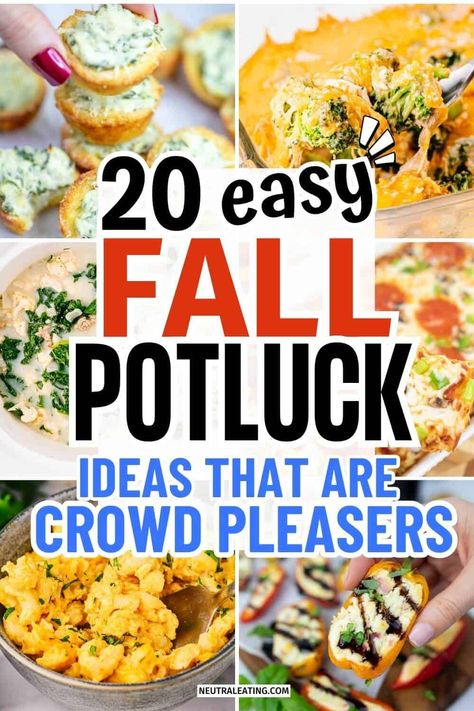 Get ready for your next gathering with these party food wings, perfect for any occasion. Delight your guests with crowd pleasing fall desserts that will leave everyone wanting more. Discover delicious potluck recipes that are easy to make and sure to impress. Enjoy fall meals low carb options and fun fall appetizers for kids that everyone will love! Crowd Pleasing Recipes Parties Food, Fall Potluck Dishes, Fall Potluck Ideas, Party Food Dishes, Fall Potluck, Fall Recipes Appetizers, Easy Potluck Recipes, Fall Party Food, Easy Potluck